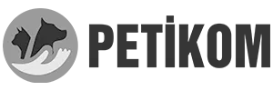 24 logosu