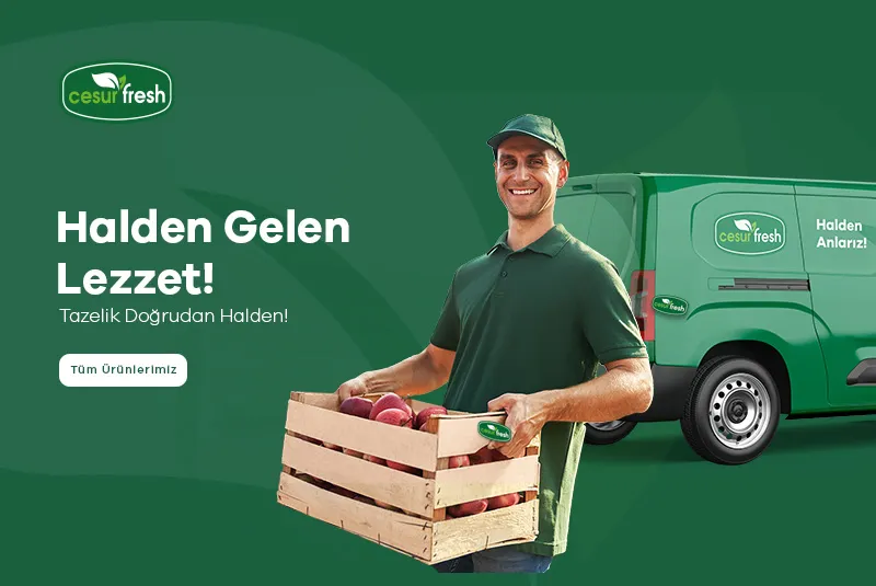 Cesur & Fresh proje görseli